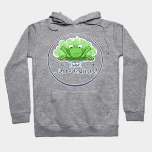 Be Aware of Your Surroundings Hoodie